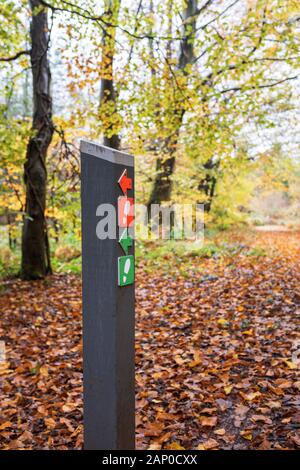 Circolare a piedi cartello su un sentiero attraverso il bosco in Monmouthshire in Galles. Foto Stock