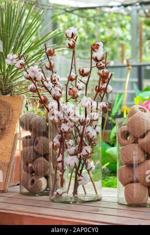 Rami secchi di cotone naturale con matura bolls in un vaso di vetro. Matassa di craft filo di cotone in corda dello spago. Il raccolto di cotone e la sua applicazione Foto Stock
