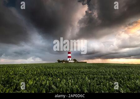 Il Happisburgh lighthouse sulla Costa North Norfolk sat nel mezzo di un campo di agricoltori con nuvole temporalesche overhead. Foto Stock