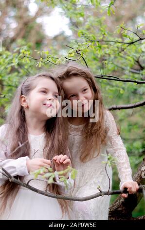 Due adorabili sei anni bambine indossando bianco vestito festivo, passeggiate nel parco di primavera. Foto Stock