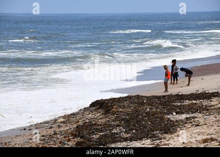 Swakopmund, Namibia. 02Mar, 2019. Walkers sul Atlantic Beach in Swakopmund, presa su 02.03.2019. Credito: Matthias Toedt/dpa-Zentralbild/ZB/Picture Alliance | in tutto il mondo di utilizzo/dpa/Alamy Live News Foto Stock