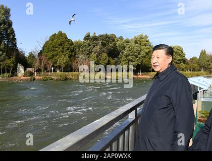 (200120) -- KUNMING, Gennaio 20, 2020 (Xinhua) -- Presidente Xi Jinping, anche segretario generale del Partito Comunista della Cina (CPC) Comitato Centrale e Presidente della Commissione militare centrale (CMC), visita una zona umida ecologico del Lago Dianchi in Kunming, capitale del sud-ovest della Cina di Provincia di Yunnan, 20 gennaio, 2020. Xi ha visitato la zona umida per esaminare la protezione e trattamento dell'inquinamento del lago durante un giro di ispezione per la provincia. (Xinhua/Xie Huanchi) Foto Stock