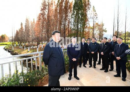 (200120) -- KUNMING, Gennaio 20, 2020 (Xinhua) -- Presidente Xi Jinping, anche segretario generale del Partito Comunista della Cina (CPC) Comitato Centrale e Presidente della Commissione militare centrale (CMC), visita una zona umida ecologico del Lago Dianchi in Kunming, capitale del sud-ovest della Cina di Provincia di Yunnan, 20 gennaio, 2020. Xi ha visitato la zona umida per esaminare la protezione e trattamento dell'inquinamento del lago durante un giro di ispezione per la provincia. (Xinhua/Xie Huanchi) Foto Stock