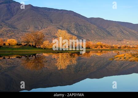 Vista del lago di Kerkini con riflessioni sull'acqua al tramonto nella Grecia settentrionale. Fotografo cercando di catturare una mandria di bufali d'acqua Foto Stock