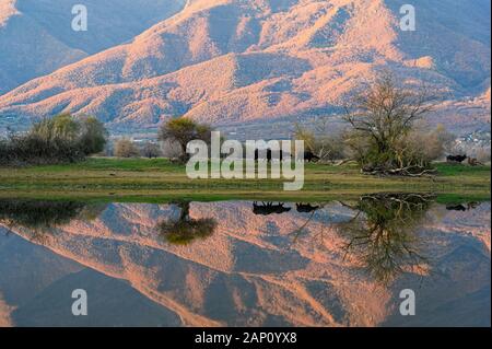 Vista del lago di Kerkini con riflessioni sull'acqua al tramonto in Grecia settentrionale Foto Stock