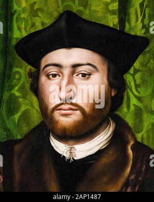 Georges de Selve (1508-1541) Dettaglio prodotto da Hans Holbein il Giovane ritratto dipinto gli ambasciatori, 1533 Foto Stock