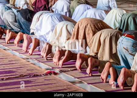 Musulmani che pregano all'interno di Jama Mashid a Lahore, una delle più grandi moschee in Asia Foto Stock