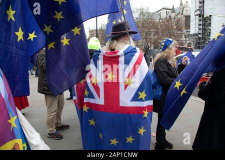 Anti Brexit manifestanti sventolano Unione europea bandiere in Westminster al di fuori del Parlamento europeo in data 8 gennaio 2020 a Londra, Inghilterra, Regno Unito. Con una maggioranza di governo conservatore in potenza e Brexit giorno alla fine di gennaio all'orizzonte, il ruolo di questi manifestanti è ora di dimostrare nella speranza di morbidissima Brexit accordo possibile. Foto Stock