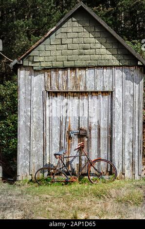 Vecchio arrugginito abbandonato in bicicletta nella parte anteriore di un decrepito spiovente tettoia in legno Foto Stock