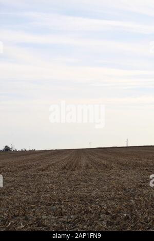 Gli stocchi mais dopo la raccolta in un campo vuoto con le turbine eoliche in distanza. Prese vicino Hoopeston, Illinois in Central Illinois, Stati Uniti d'America, Foto Stock