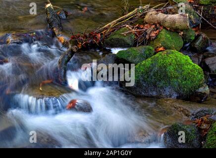 Bentley Brook,lunga esposizione,l'acqua,Lumsdale Valley,,Matlock Derbyshire,Peak District,l'Inghilterra,UK Foto Stock