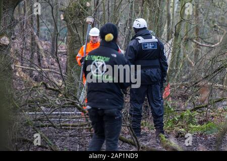 Harefield, UK. Il 20 gennaio, 2020. Gli appaltatori e l'esecuzione agenti che agiscono per conto di HS2 immettere la strada Harvil la tutela della fauna selvatica camp che fu rioccupata dagli attivisti dalla ribellione di estinzione, Stop HS2 e salvare il Colne Valley due giorni in precedenza. Alcuni attivisti, che cercano di proteggere antichi boschi minacciato dal collegamento ferroviario ad alta velocità, erano state sfrattate dal campo nel corso delle due settimane precedenti. Credito: Mark Kerrison/Alamy Live News Foto Stock