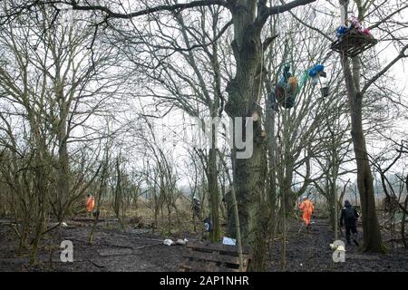 Harefield, UK. Il 20 gennaio, 2020. Gli appaltatori e l'esecuzione agenti che agiscono per conto di HS2 immettere la strada Harvil la tutela della fauna selvatica camp che fu rioccupata dagli attivisti dalla ribellione di estinzione, Stop HS2 e salvare il Colne Valley due giorni in precedenza. Alcuni attivisti, che cercano di proteggere antichi boschi minacciato dal collegamento ferroviario ad alta velocità, erano state sfrattate dal campo nel corso delle due settimane precedenti. Credito: Mark Kerrison/Alamy Live News Foto Stock