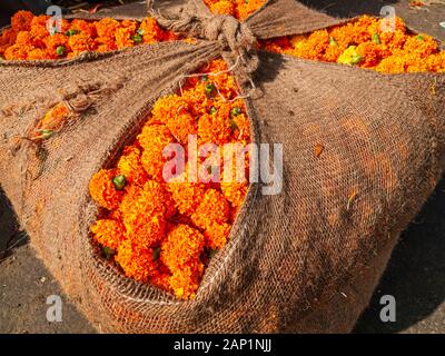 I fiori, imballati in sacchi, sono in vendita al mercato all'ingrosso dei fiori Foto Stock