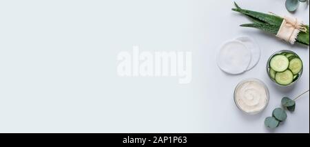 Aloe e cetrioli crema idratante isolato su grigio Foto Stock