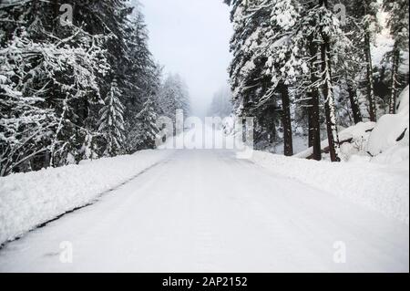 Un bel viale alberato strada di campagna coperta di neve dopo un inverno di blizzard Foto Stock