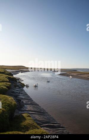 Il canale del fiume acquitrino See Gate di sabbia vicino al villaggio di Flookborough riva di Morecambe Bay una giornata invernale dei Laghi Sud Cumbria Foto Stock