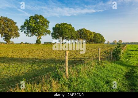 Land van Cuijk, il paesaggio agricolo nel piccolo villaggio Cuijk e sul fiume Meuse, Paesi Bassi sotto un cielo blu. Famoso punto di riferimento turistico fo Foto Stock