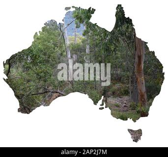 Una serie di vedute dei paesaggi naturali e dei paesaggi dell'Australia si sono stabiliti in una mappa del paese Foto Stock