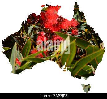 Una serie di punti di vista dei paesaggi naturali e paesaggi di Australia impostato in una mappa del paese Foto Stock