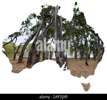 Una serie Di Vedute dei paesaggi naturali e dei paesaggi dell'Australia si sono stabiliti in una mappa degli alberi nazionencurvati Foto Stock