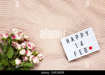 Bouquet di rose di piccole dimensioni su polverosi coperta rosa, lightbox con iscrizione Happy 14 FEB che significa il giorno di San Valentino. Lay piatto. Vista dall'alto. Febbraio xiv cel Foto Stock