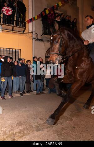 Vilanova d'Alcolea, Castellón, Spagna - 19 gennaio 2019: Corsa di cavalli senza sella per le strade del villaggio in un festival tradizionale Foto Stock