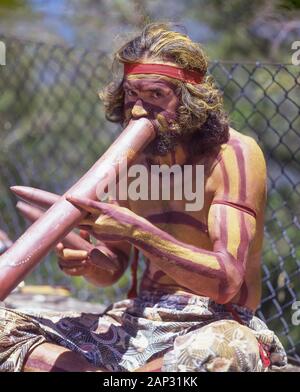 Maschio aborigene giocando didgeridoo, Blue Mountains, Nuovo Galles del Sud, Australia Foto Stock