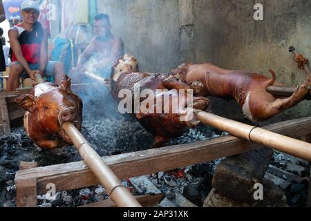 Spiedo arrosto di maiale noto come "Lechon baboy' nelle Filippine essendo arrostite sulla brace ardente durante il Festival Sinulog,di Cebu City, Foto Stock