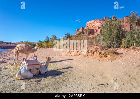 Kasbah Ait Ben Haddou nell'Atlante del Marocco. Del Patrimonio mondiale UNESCO dal 1987. Molti film sono stati girati qui. Foto Stock