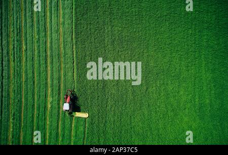 Da sopra agricoli trattore rosso lavorando sul campo verde e piantine di aratura Foto Stock