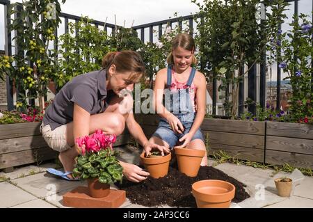 Wien, Mutter und Tochter bei der gemeinsamen Gartenarbeit am Dachgarten - Vienna, madre e figlia che lavora sul loro giardino sul tetto Foto Stock