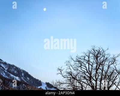 Silhouette di alberi contro il cielo e le montagne nel pomeriggio sulla Rosa Khutor dall'hotel balcony Foto Stock