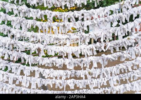 Saga, Giappone - nov. 12, 2018: giapponese random fortune raccontando carta (Omikuji) ripiegato e legato sulla corda fili (Omikuji kake) nel tempio tradizionale, conce Foto Stock