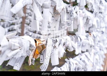 Saga, Giappone - nov. 12, 2018: giapponese random fortune raccontando carta (Omikuji) ripiegato e legato sulla corda fili (Omikuji kake) nel tempio tradizionale, conce Foto Stock