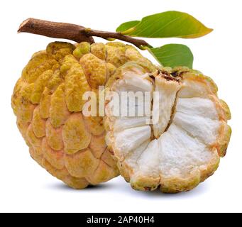 Anone o soursop isolati su sfondo bianco Foto Stock