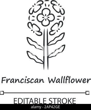 Violaciocca francescana icona lineare. Giardino di piante da fiore con il nome di iscrizione. Erysimum franciscanum infiorescenza. Linea sottile illustrazione. Contorno Illustrazione Vettoriale