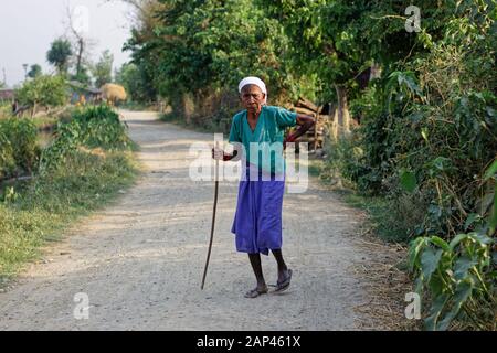 Una donna anziana che cammina con un bastone su una strada sterrata nel villaggio di Bardiya, Nepal Foto Stock