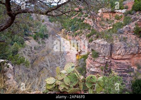 Vista di Oak Creek Canyon vicino a Sedona in Arizona, d'inverno. Foto Stock