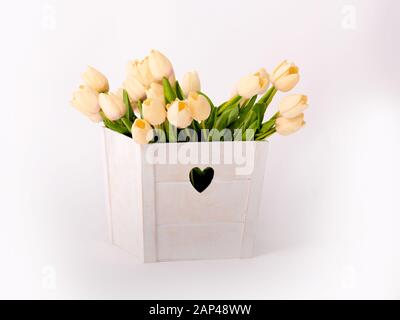 tulipani artificiali in una scatola bianca con un cuore su sfondo bianco. Foto Stock