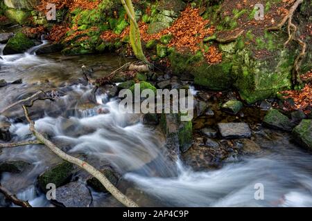 Bentley Brook,l'acqua,Lumsdale Valley,,Matlock Derbyshire,Peak District,l'Inghilterra,UK Foto Stock