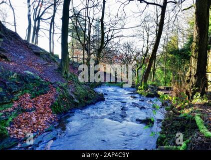 Bentley Brook,l'acqua,Lumsdale Valley,,Matlock Derbyshire,Peak District,l'Inghilterra,UK Foto Stock