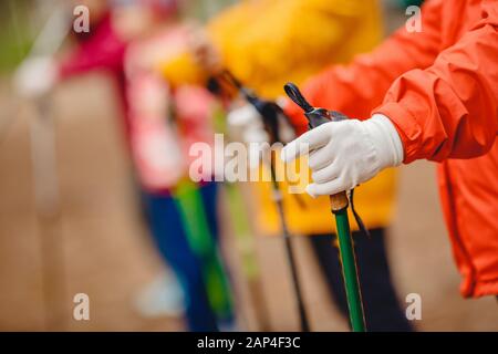 Le donne anziane vanno nordic walking con i bastoni nella foresta di conifere, concetto che è buono per il fitness Foto Stock