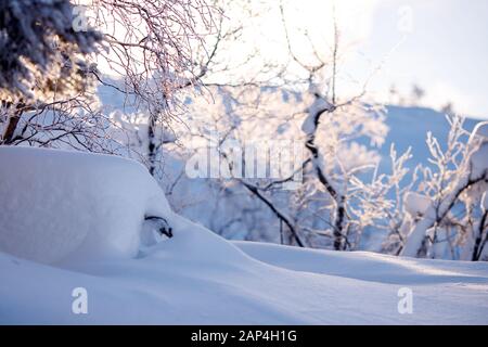 Inverno Frosty mattina paesaggio, neve pura, sfondo in toni blu Foto Stock