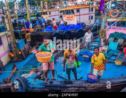 Pescatori indiani che lavorano a Sassoon Docks in Mumbai India Foto Stock