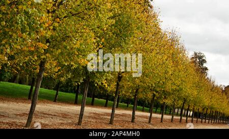 Chateau De Versailles Francia Palazzo Di Versailles. Palazzo francese e Giardini di Versailles in autunno Foto Stock