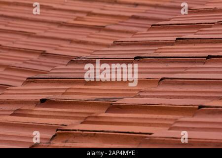 Tegole del tetto sul guest house a Masinagudi, Tamil Nadu Foto Stock