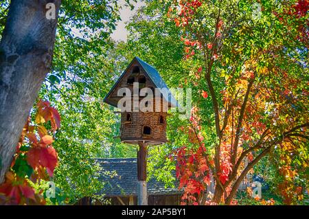 vecchio piccione di legno loft su una pila in un giardino con colorati dipinti autumnally foglie colorate Foto Stock