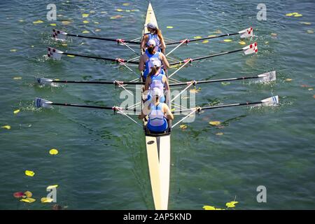 Donna quadrupla team di canottaggio sul verde turchese del lago Foto Stock