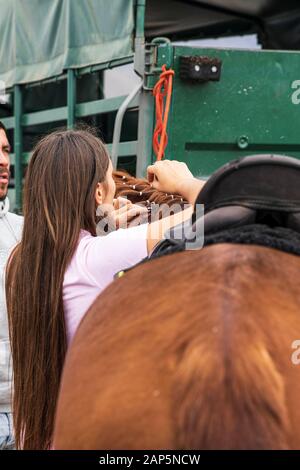 Piloti preparare loro supporti, da intreccio cavalli la criniera per la San Sebastian fiesta. Ogni anno gli animali vengono prese qui sui santi giorno e ble Foto Stock